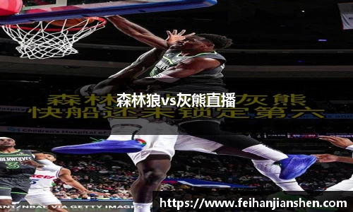 森林狼vs灰熊直播