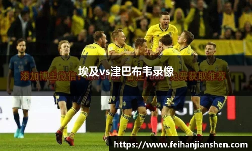 埃及vs津巴布韦录像