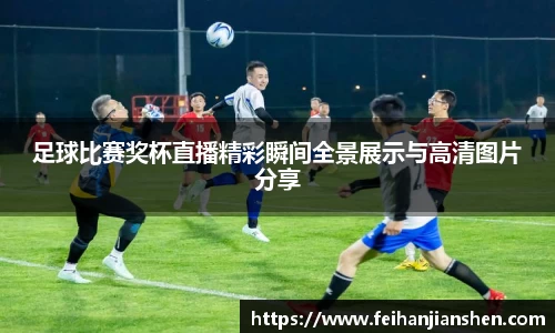 qy球友会体育