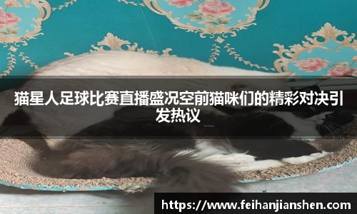 球友